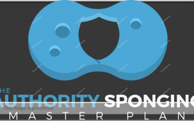 Ben Adkins – Authority Sponging Master Plan