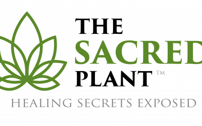 John Malanca – The Sacred Plant – How To Make It Work For You Masterclass