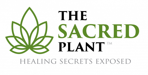 John Malanca – The Sacred Plant – How To Make It Work For You Masterclass