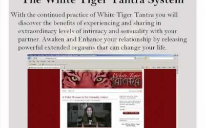 Steve P – White Tiger Tantra