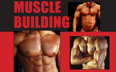 Vince Delmonte – No-Nonsense Muscle Building DVDs