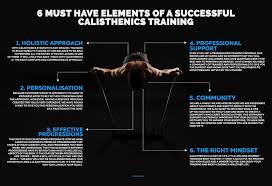 Calisthenics Academy – Calisthenics Fundamentals Course