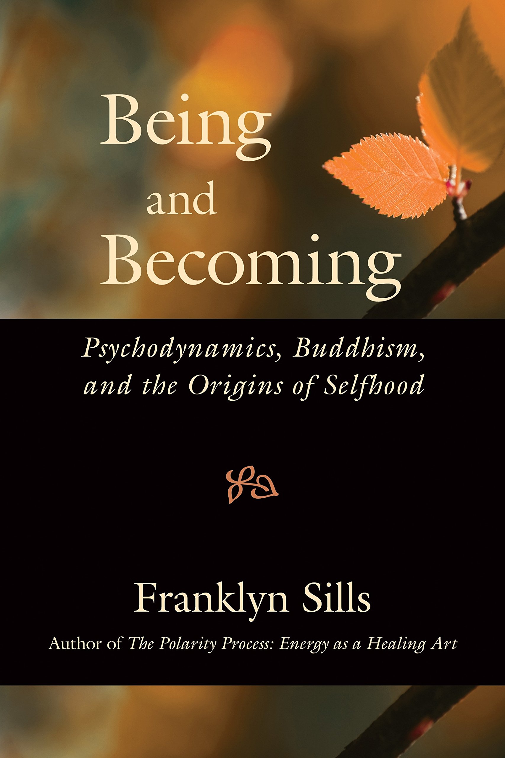 Franklyn Sills – Being and Becoming – Psychodynamics, Buddhism and Mindfulness Practice