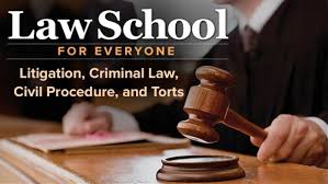 TGC – Law School for Everyone: Litigation, Criminal Law, Civil Procedure, and Torts