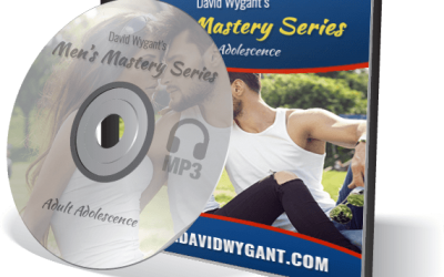 David Wygant – Mens Mastery Audio Series