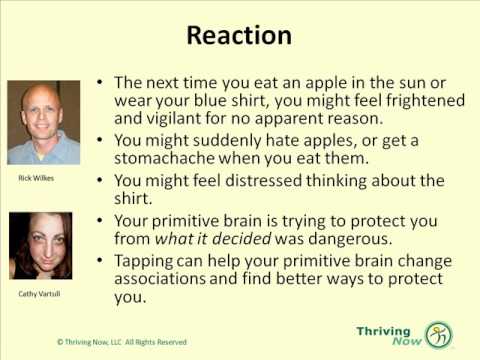 Rick Wilkes & Cathy VArtuli – Trauma and the Primitive Brain