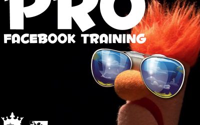 Travis Petelle – LIKE A Boss PRO Facebook Training