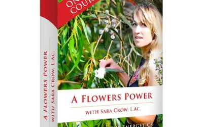 A Flower’s Power: A Course In Flower Essences