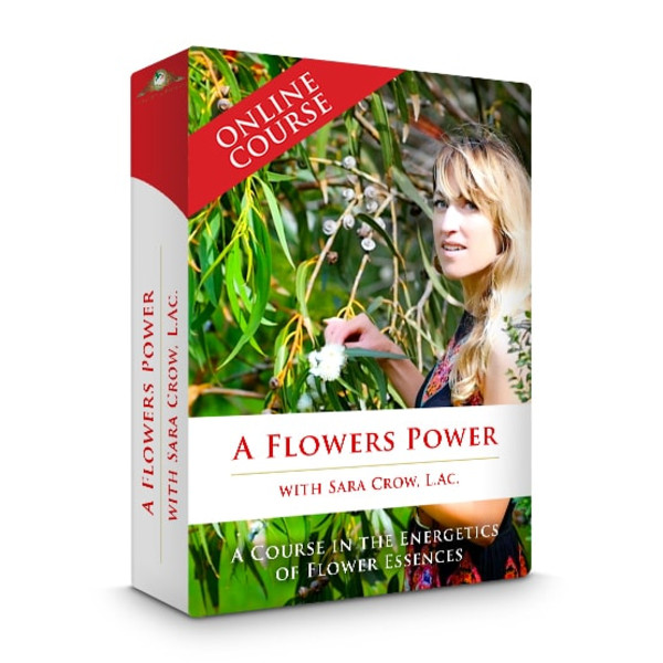 A-Flowers-Power-A-Course-In-Flower-Essences1