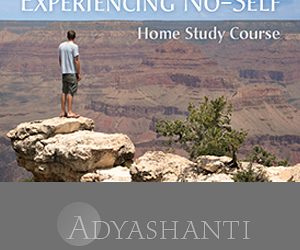 Adyashanti – Experiencing No-Self- Study Course