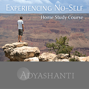 Adyashanti-Experiencing-No-Self-Study-Course-1