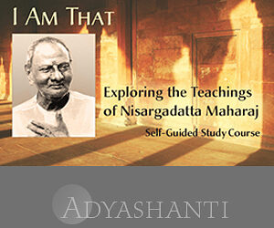 Adyashanti – I AM THAT Study Course