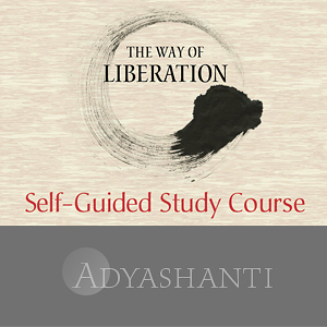 Adyashanti-The-way-of-Liberating-Insight-Study-Course-1