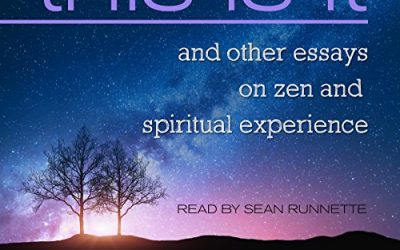 Alan Watts and  Sean Runnette – This Is It  And Other Essays on Zen and Spiritual Experience