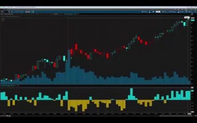 Alphashark – The Tickmaster Indicator