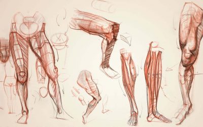 Anatomy Workshop vol.1-7 with Charles Hu