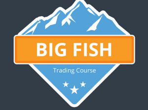 Basecamp – Big Fish Trading Strategy Download