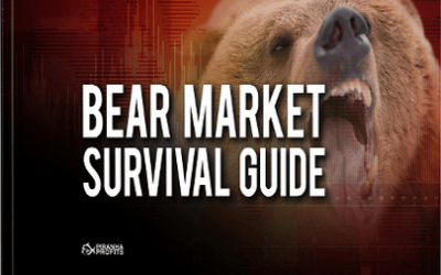 Bear Market Survival Guide – Special Rate