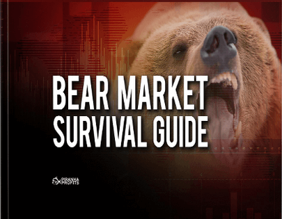 Bear-Market-Survival-Guide-Special-Rate11