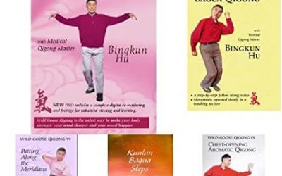 Bingkun Hu – The Complete Wild Goose Qigong Series