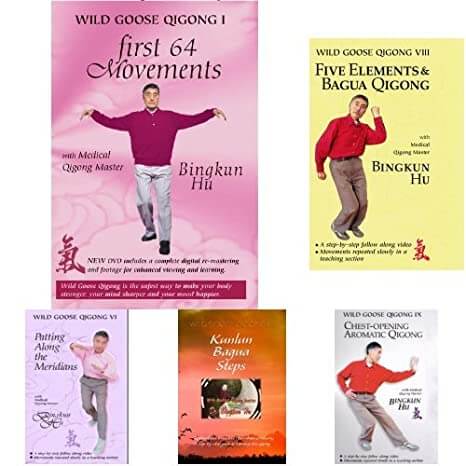 Bingkun-Hu-The-Complete-Wild-Goose-Qigong-Series-1