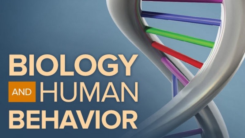 Biology-and-Human-Behavior-The-Neurological-Origins-of-Individuality-2nd-Edition1