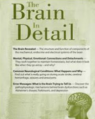 Bonita Gordon & Sean G. Smith – The Brain in Detail Neuromuscular Download