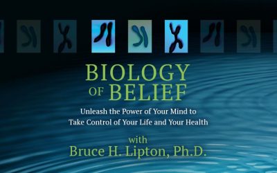 Bruce H. Lipton: Biology of Belief course