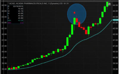 Champion Reversal Indicator ThinkorSwim TOS Script