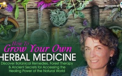 Chanchal Cabrera – Growing Your Own Herbal Medicine