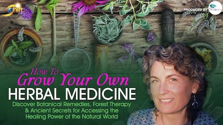 Chanchal Cabrera – Growing Your Own Herbal Medicine Download