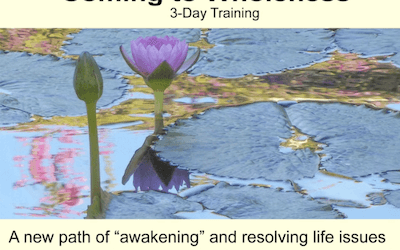 Connirae Andreas – 3-Day Wholeness Training