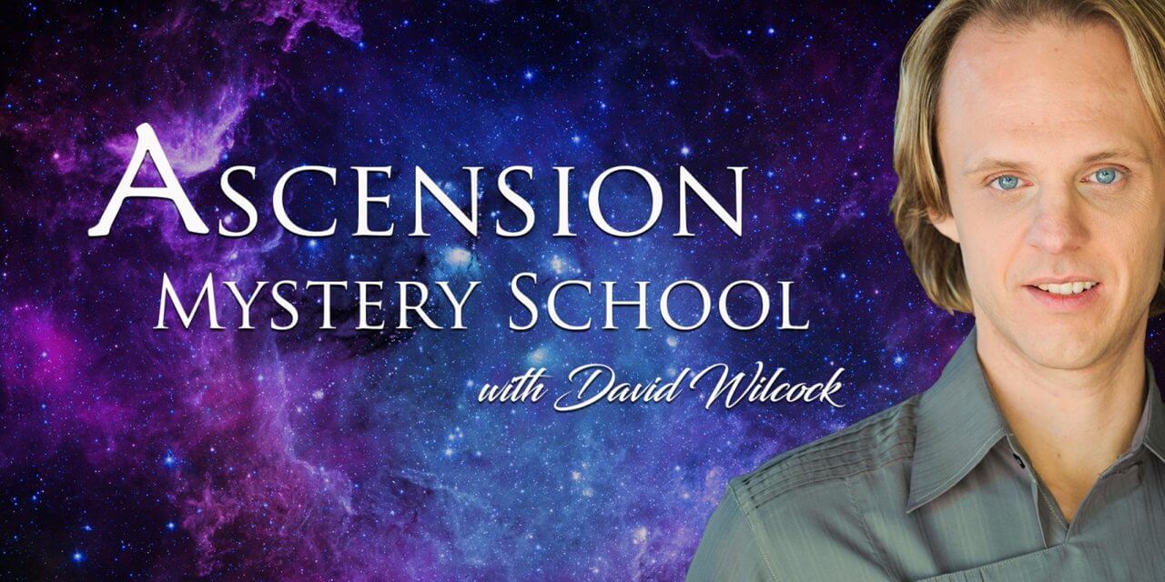 Divine-Cosmos-David-Wilcock-Ascension-Mystery-School11