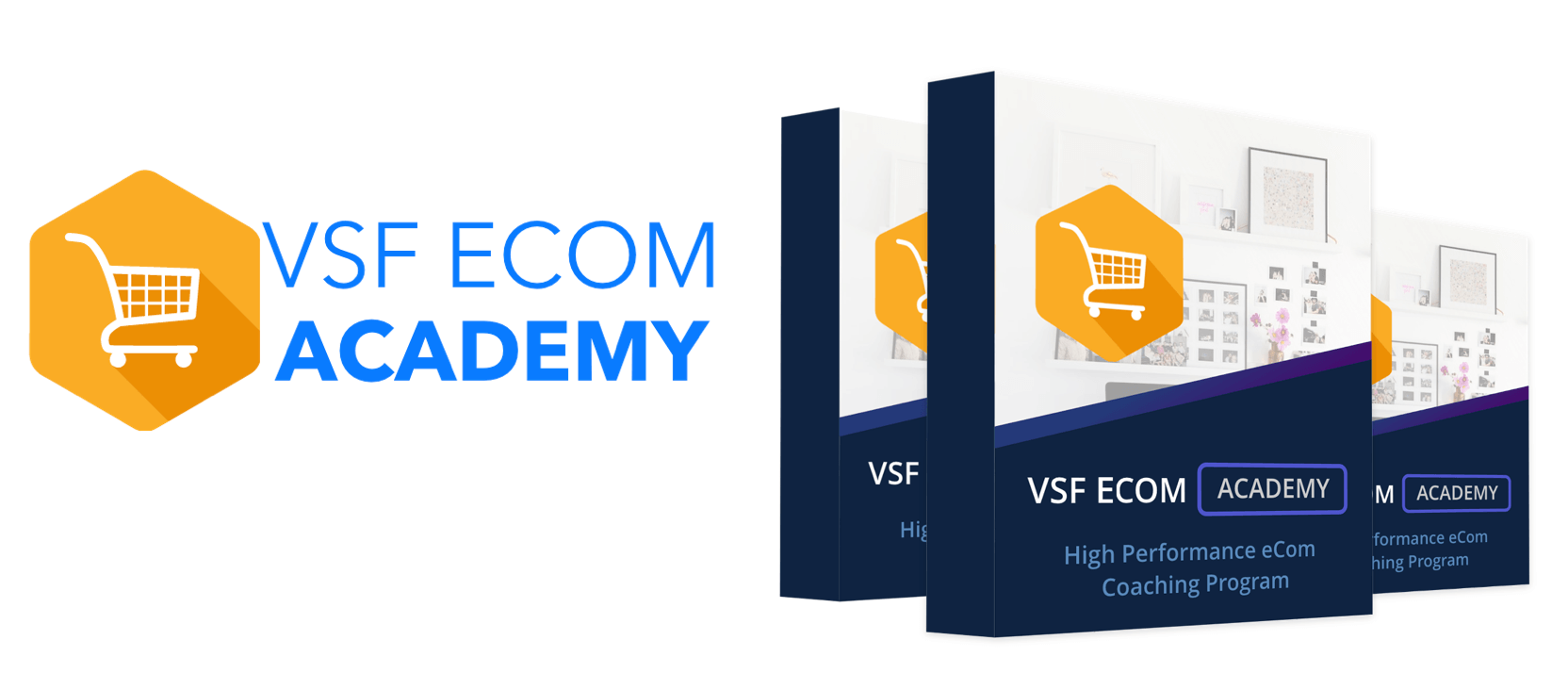 Emi Nelson – VSF eCom Academy Download