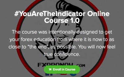 FxProNow – You AreThe Indicator Online Course