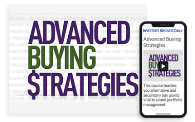 IBD – Advanced Buying Strategies Home Study Program