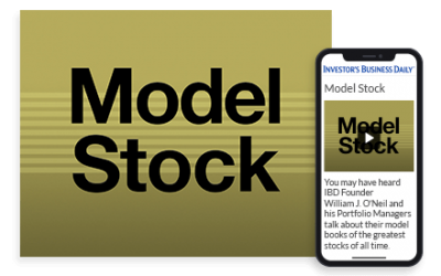 IBD – Model Stock Home Study Program