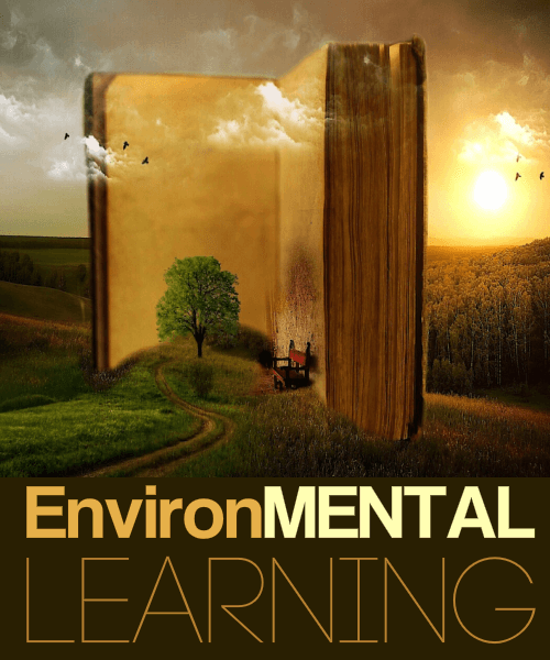 John-David-BrainSpeak-EnvironMental-Learning1