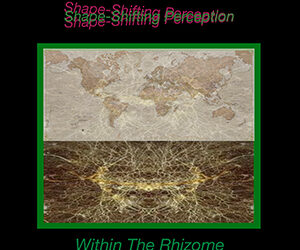 John Overdurf – Shapeshifting within the Rhizome