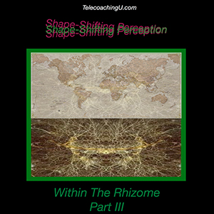 John Overdurf – Shapeshifting within the Rhizome Download