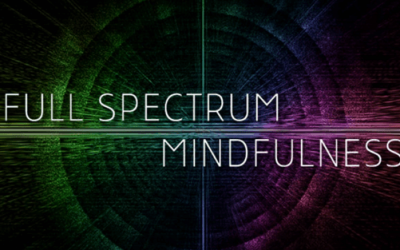 Ken Wilber – Full Spectrum Mindfullness 2019