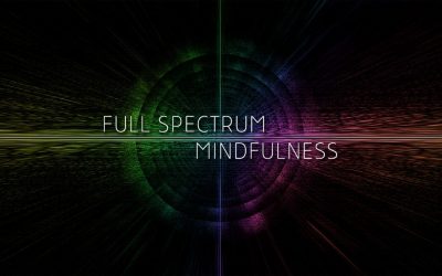 Ken Wilber – Full Spectrum Mindfulness Core Concepts