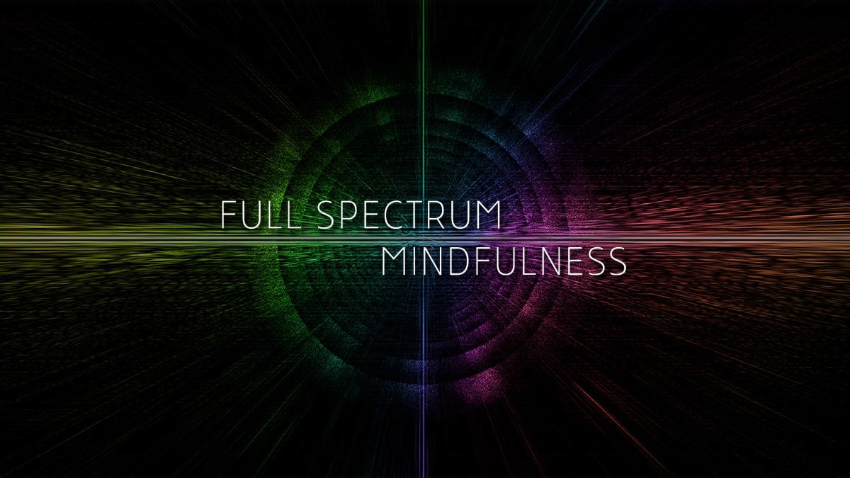 Ken-Wilber-Full-Spectrum-Mindfulness-Core-Concepts-1