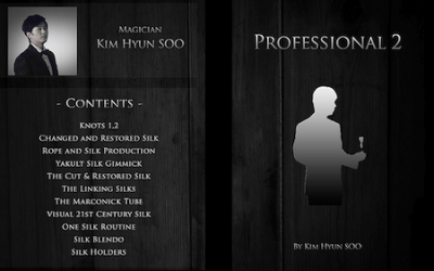 Kim Hyun Soo – Professional 2