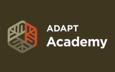 Kresser Institute – ADAPT Framework Level 1