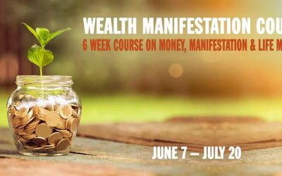 Kristopher Dillard – Wealth Manifestation