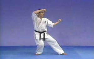Kyokushin karate Katas