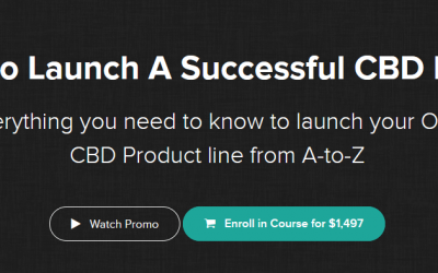 Launch a Successful CBD Business