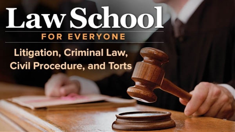 Law-School-for-Everyone-Litigation-Criminal-Law-Civil-Procedure-and-Torts1