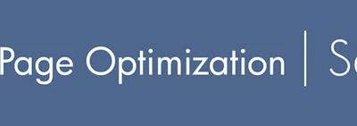 MECLABS, Flint McGlaughlin – Landing Page Conversion Optimiz